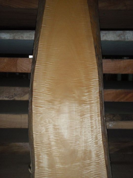 新作 栃(トチ) 小物入れ 幅11cm 超銘木 木製 手作り 茶筒型 円筒形 高