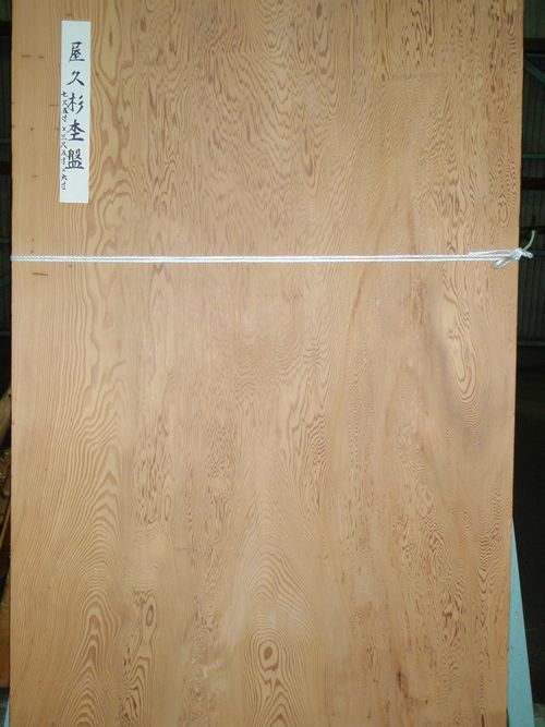 屋久杉 テーブル 屋久杉 テーブル
